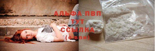 герыч Пересвет