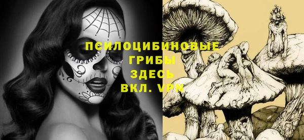 не бодяженный Аркадак