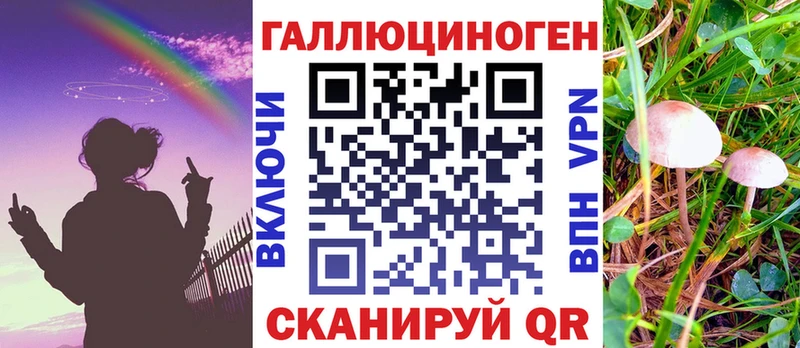 где можно купить наркотик  Шарья  Галлюциногенные грибы MAGIC MUSHROOMS 